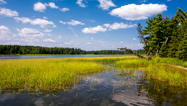 lake itasca - Mississippi headwaters